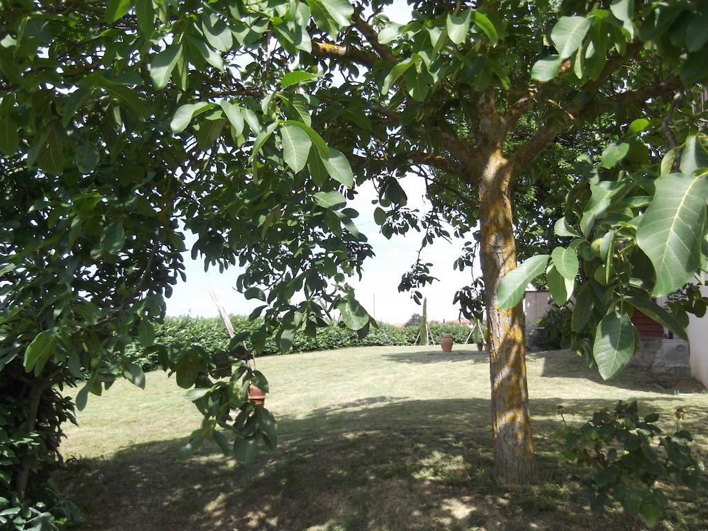 Agriturismo Le Caselle Cerbaia Szoba fotó